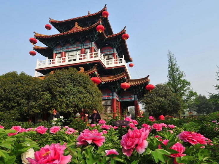 Shaolin Temple Shaolin Temple