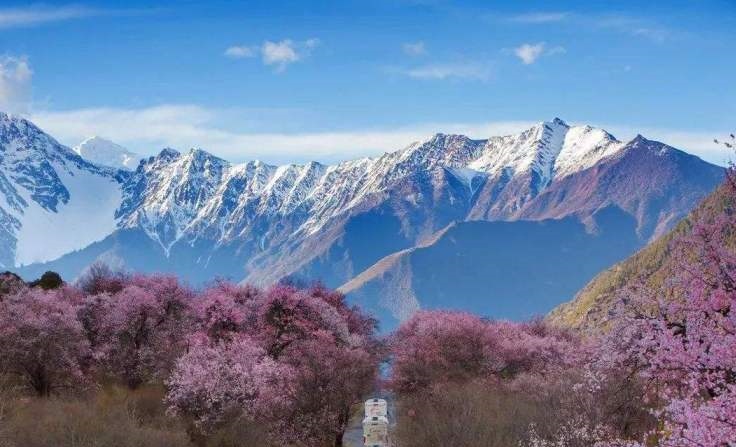 Tibet Nature Kingdom Tour