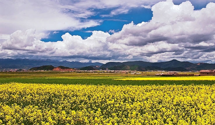 Classic Shangri-La Tour