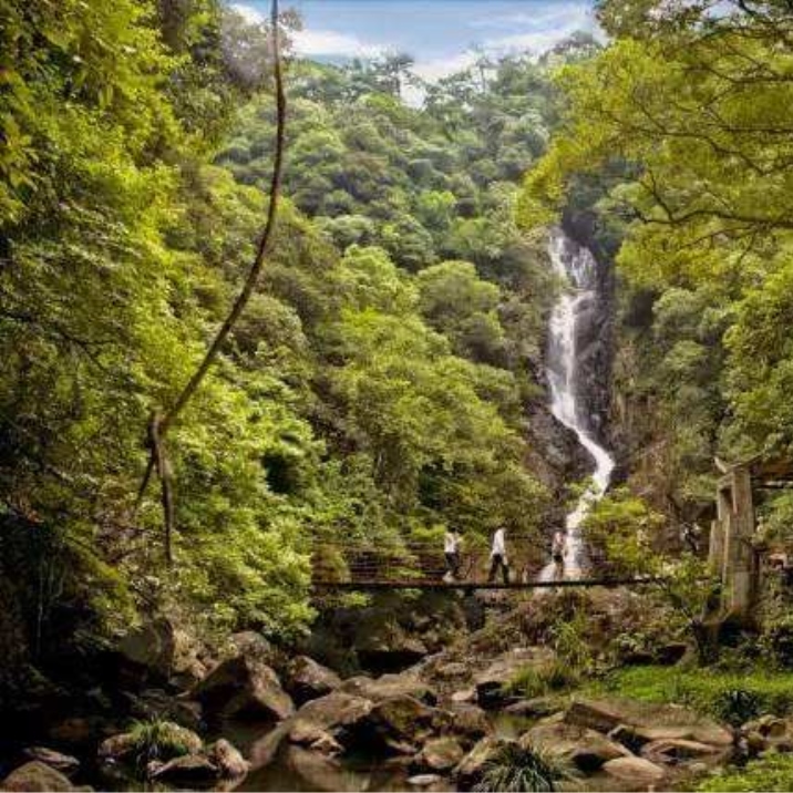 Sandiejing Forest Park
