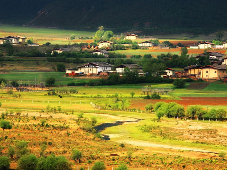 Meili Snow Mountain tour