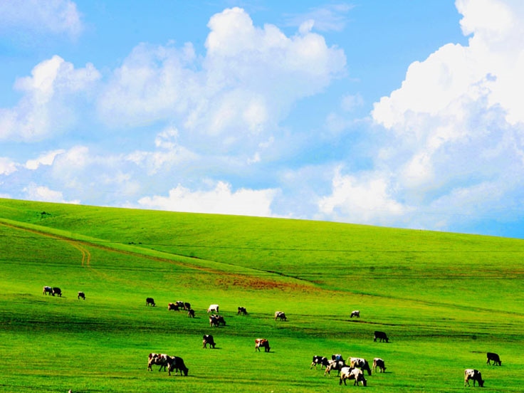 Inner Mongolia Essence Tour 