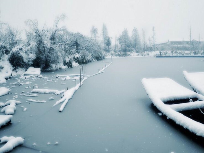 Chinese 24 Solar Terms