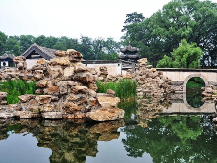 The Lion Grove Garden