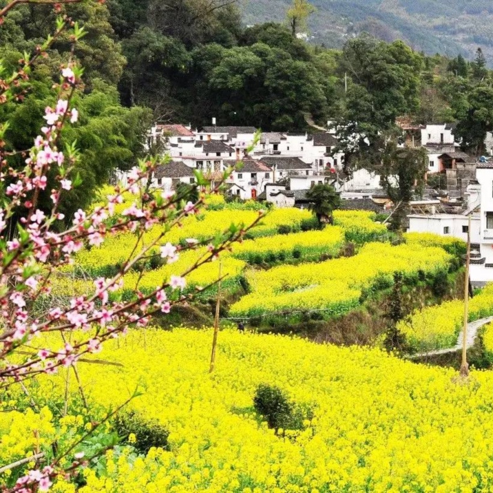Wuyuan in spring