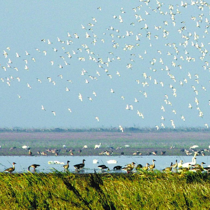 Poyanghu National Forest Park