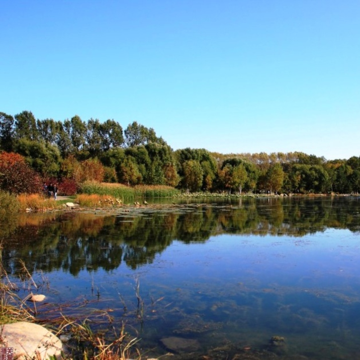 Jingyue Lake National Forest Park