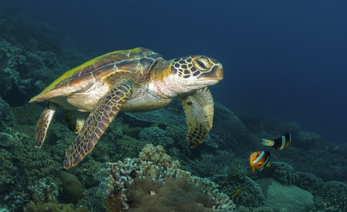 China to build the first marine archaeology museum this year