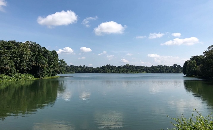 Chongqing Jiangbeizui Riverside Park opens to the public