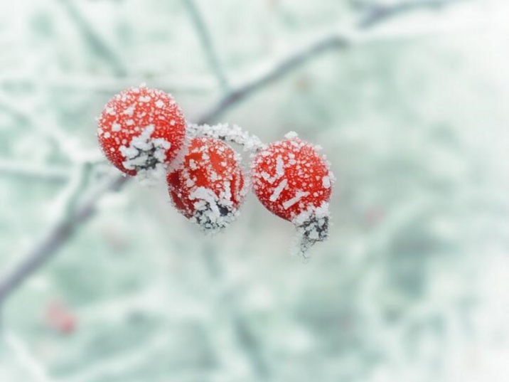 Nines of winter in China