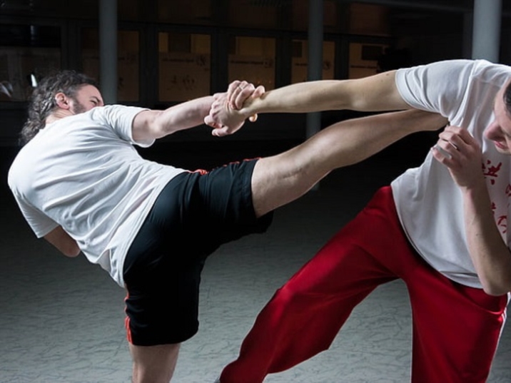 The Chinese Martial Arts